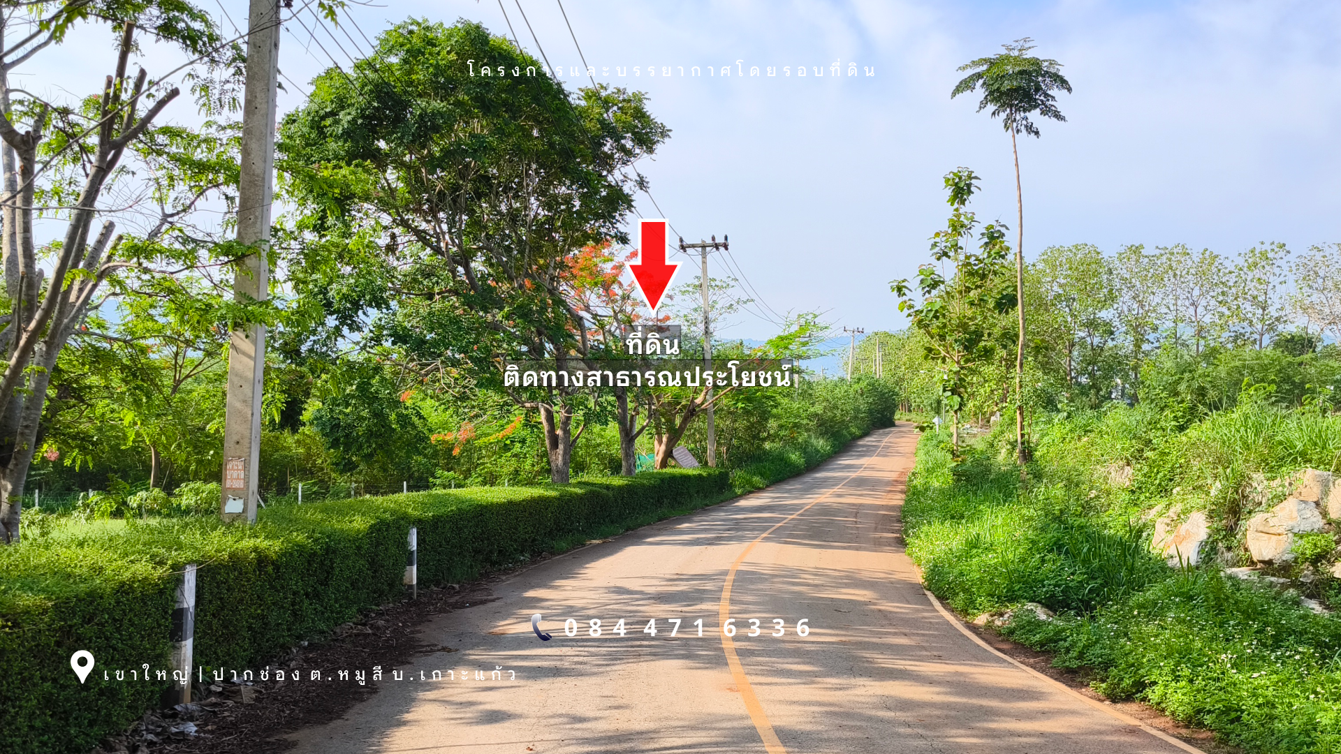 เขาใหญ่ | ปากช่อง โซนหมูสี *ด้านหลังติดเขา* ใกล้ MADAME VALLEY(มาดามแป้ง) เนื้อที่ 4-3-69 ไร่ ราคา 3.5 ล้าน/ไร่