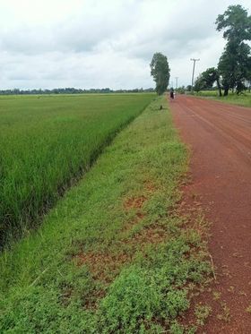 ที่ดินเปล่าติดทางสาธารณะ เรณูนคร นครพนม