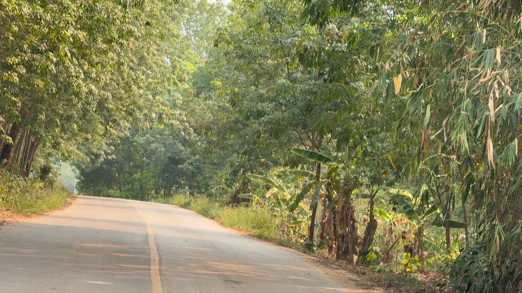 ขายที่ดินหนองคาย สังคม ขายด่วน ทำเลทอง ใกล้ริมแม่น้ำโขง 19-1-24 ไร่.
