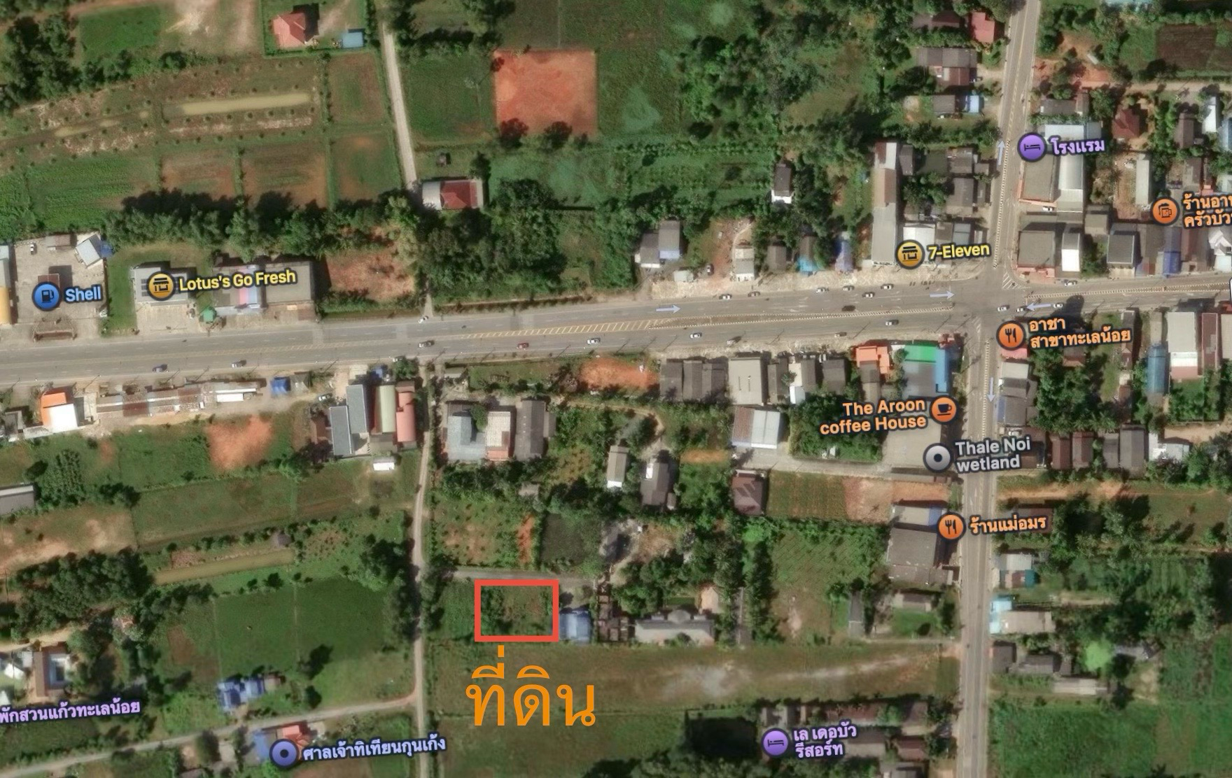 ขายที่ดินพัทลุง ควนขนุน ที่ดินทะเลน้อย