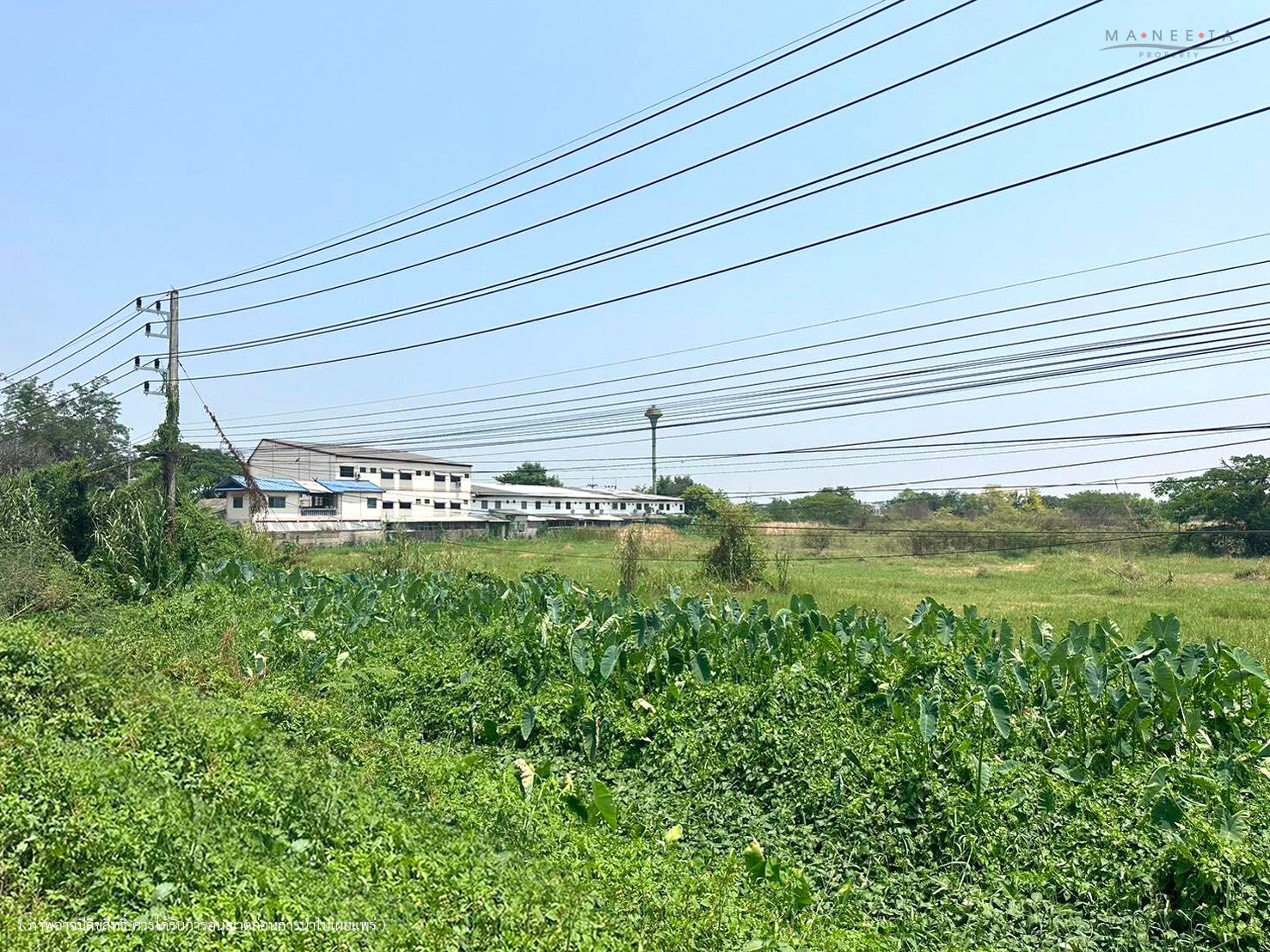 ขายที่ดิน 9-2-10.5 ไร่ อ.เมือง จ.ลำพูน