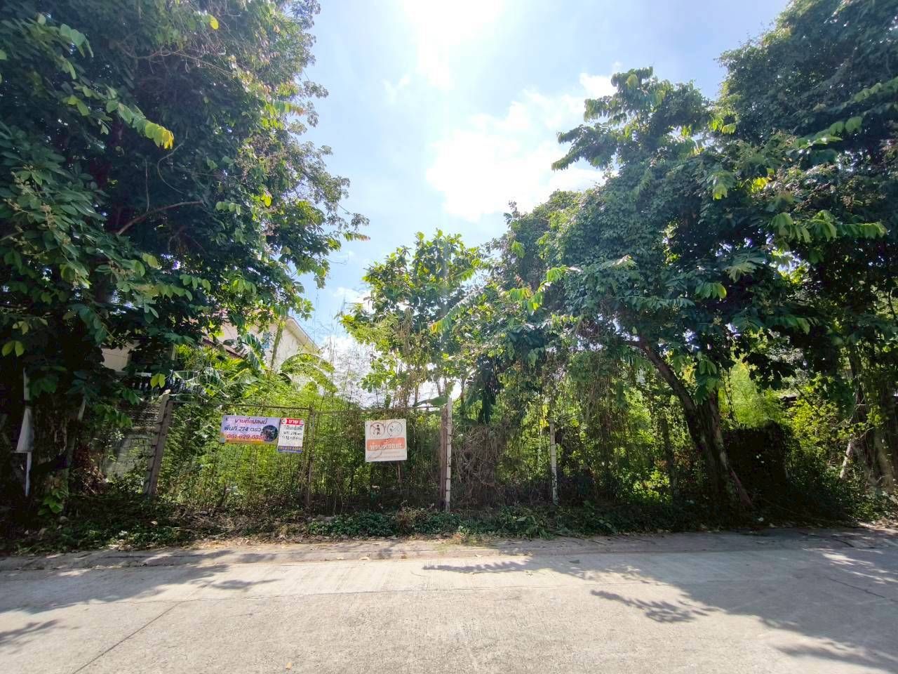 ถมแล้วพร้อมสร้าง! 🏡 ที่ดินผืนสวย 214 ตร.ว. บางแวก 116 เชื่อมต่อจรัญ 13 ใกล้ MRT หลักสอง ✨