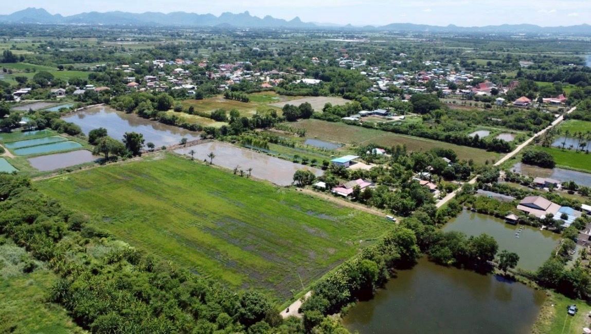 ขายที่ดินสระบุรี หนองโดน 2แปลงติดกัน ขายยกแปลง 12-2-8 ไร่.