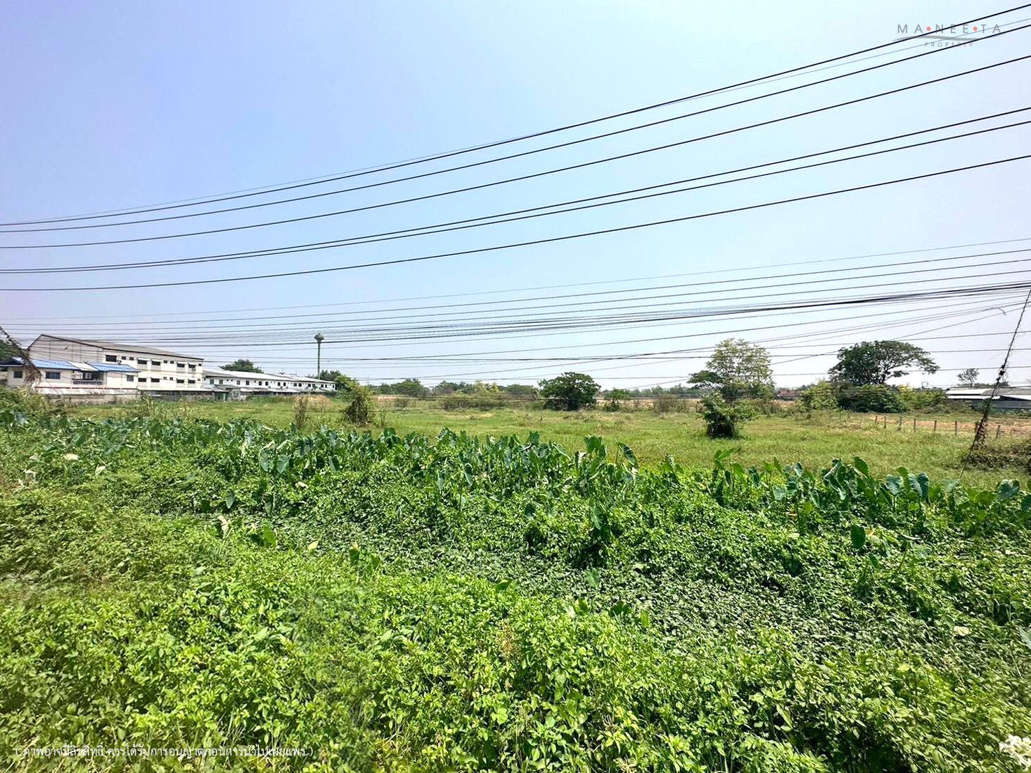 ขายที่ดิน 9-2-10.5 ไร่ อ.เมือง จ.ลำพูน