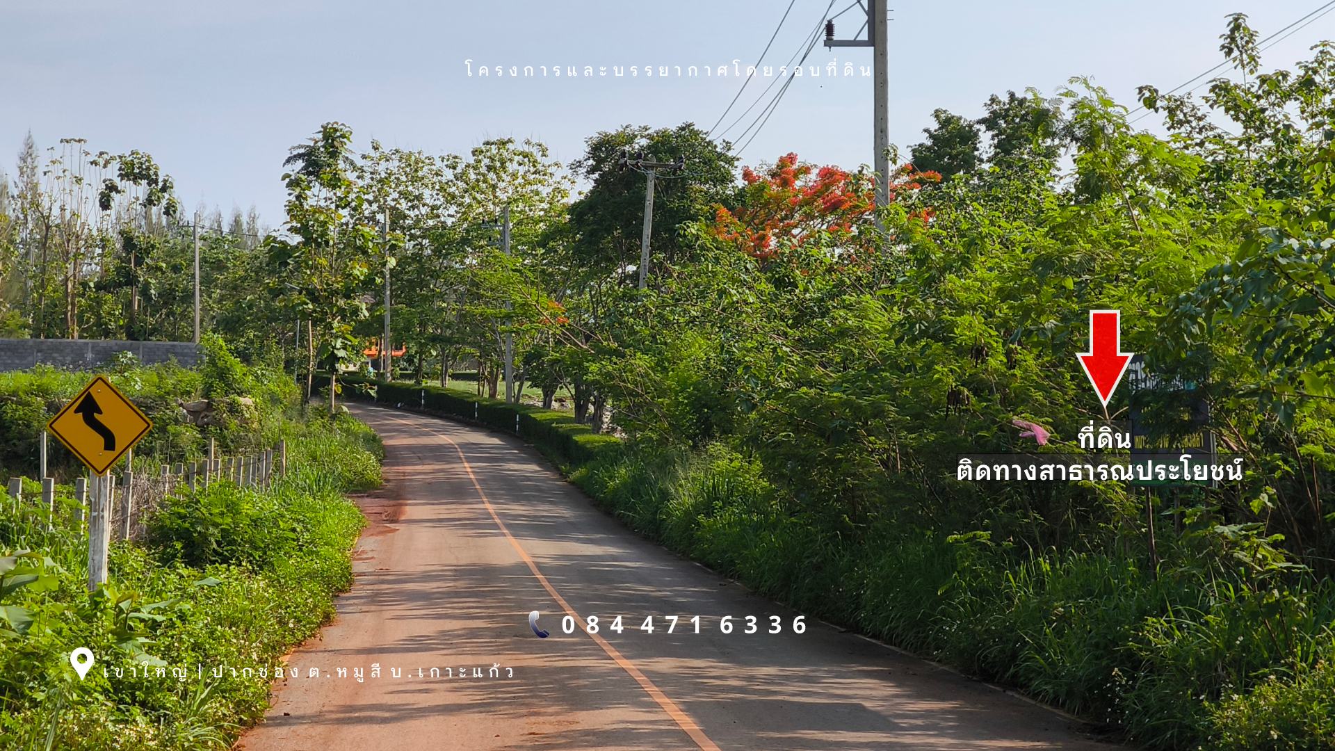 เขาใหญ่ | ปากช่อง โซนหมูสี *ด้านหลังติดเขา* ใกล้ MADAME VALLEY(มาดามแป้ง) เนื้อที่ 4-3-69 ไร่ ราคา 3.5 ล้าน/ไร่