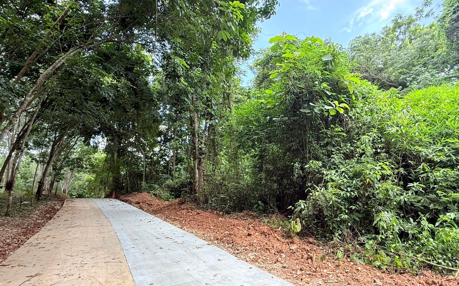 ขายที่ดินหนองคาย สังคม ขายด่วน ทำเลทอง ใกล้ริมแม่น้ำโขง 19-1-24 ไร่.
