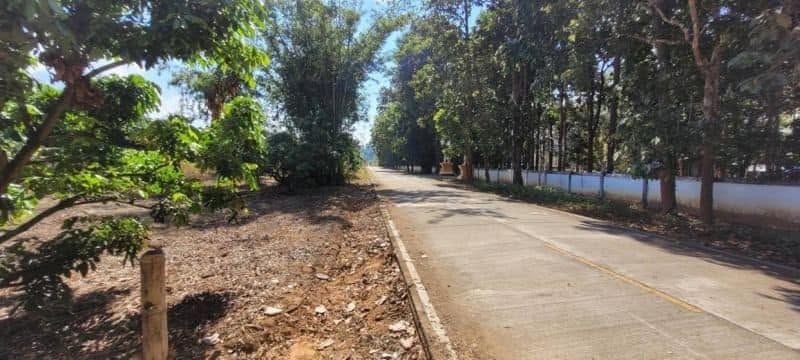 ขายที่ดินเชียงใหม่ พร้าว ที่ดินสวนลำไยทำเลดี ใกล้ชุมชน