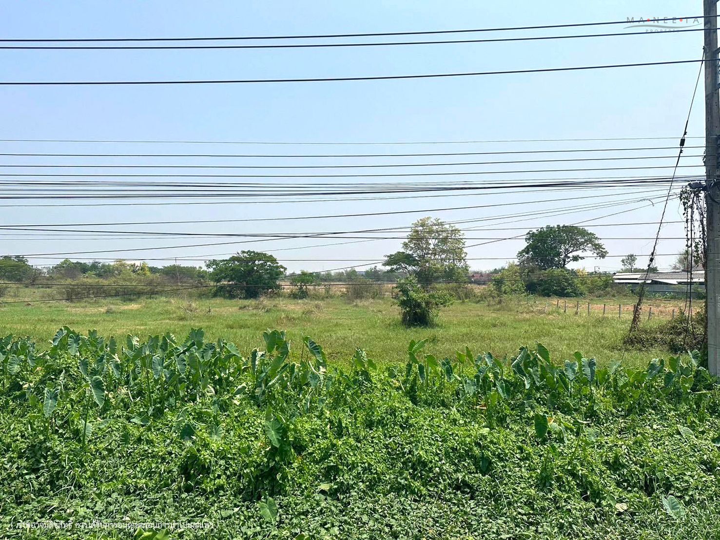 ขายที่ดิน 9-2-10.5 ไร่ อ.เมือง จ.ลำพูน