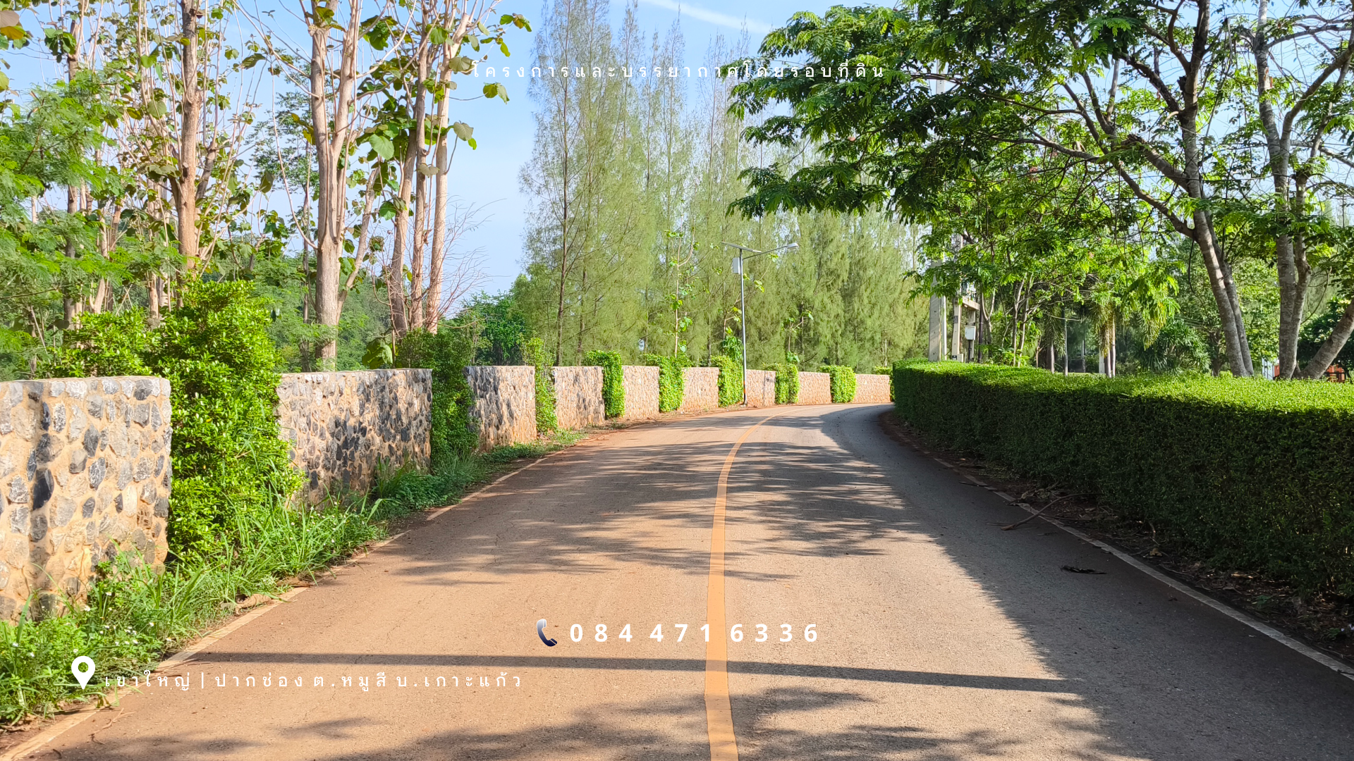 เขาใหญ่ | ปากช่อง โซนหมูสี *ด้านหลังติดเขา* ใกล้ MADAME VALLEY(มาดามแป้ง) เนื้อที่ 4-3-69 ไร่ ราคา 3.5 ล้าน/ไร่