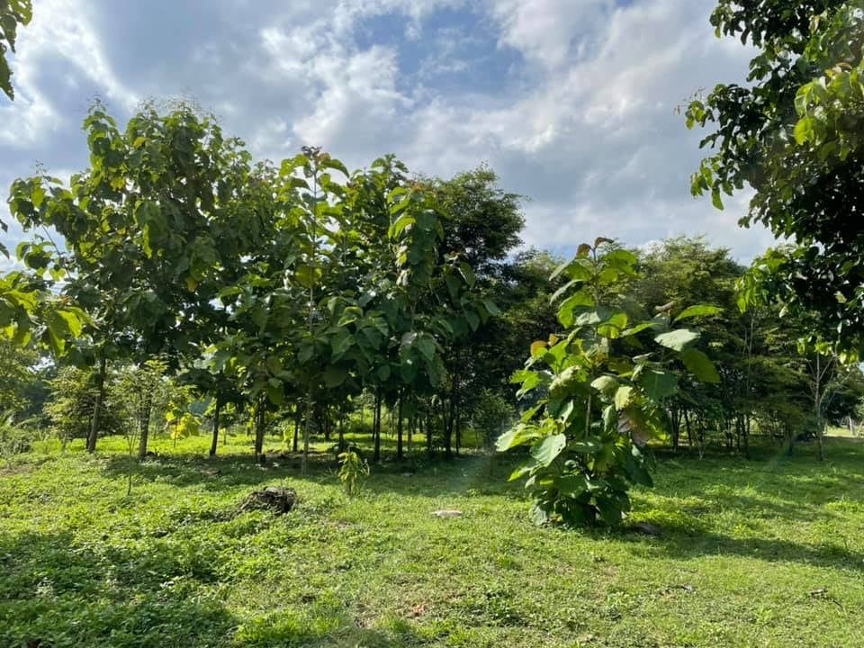 ขายบ้านพร้อมที่ดินติดน้ำวิวภูเขา