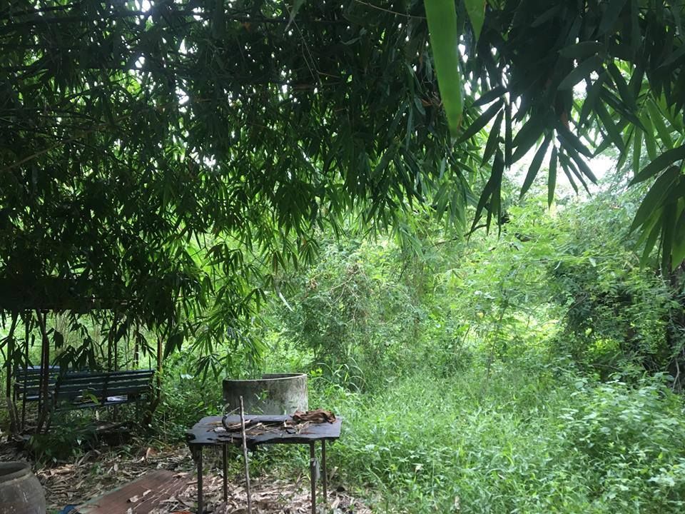ขายที่ดินติดสวนผลไม้ หมู่บ้านทองธัชการ จ.นครปฐม พื้นที่ 1 ไร่ (ราคาถูก ต่ำกว่าราคาตลาด) 