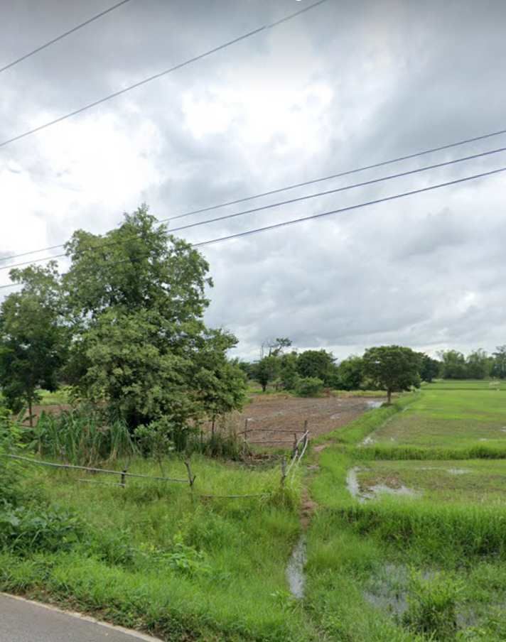 ที่นาติดถนนหนองโสมง ทำเลใกล้เมือง น้ำไฟเข้าถึงพร้อมมาก