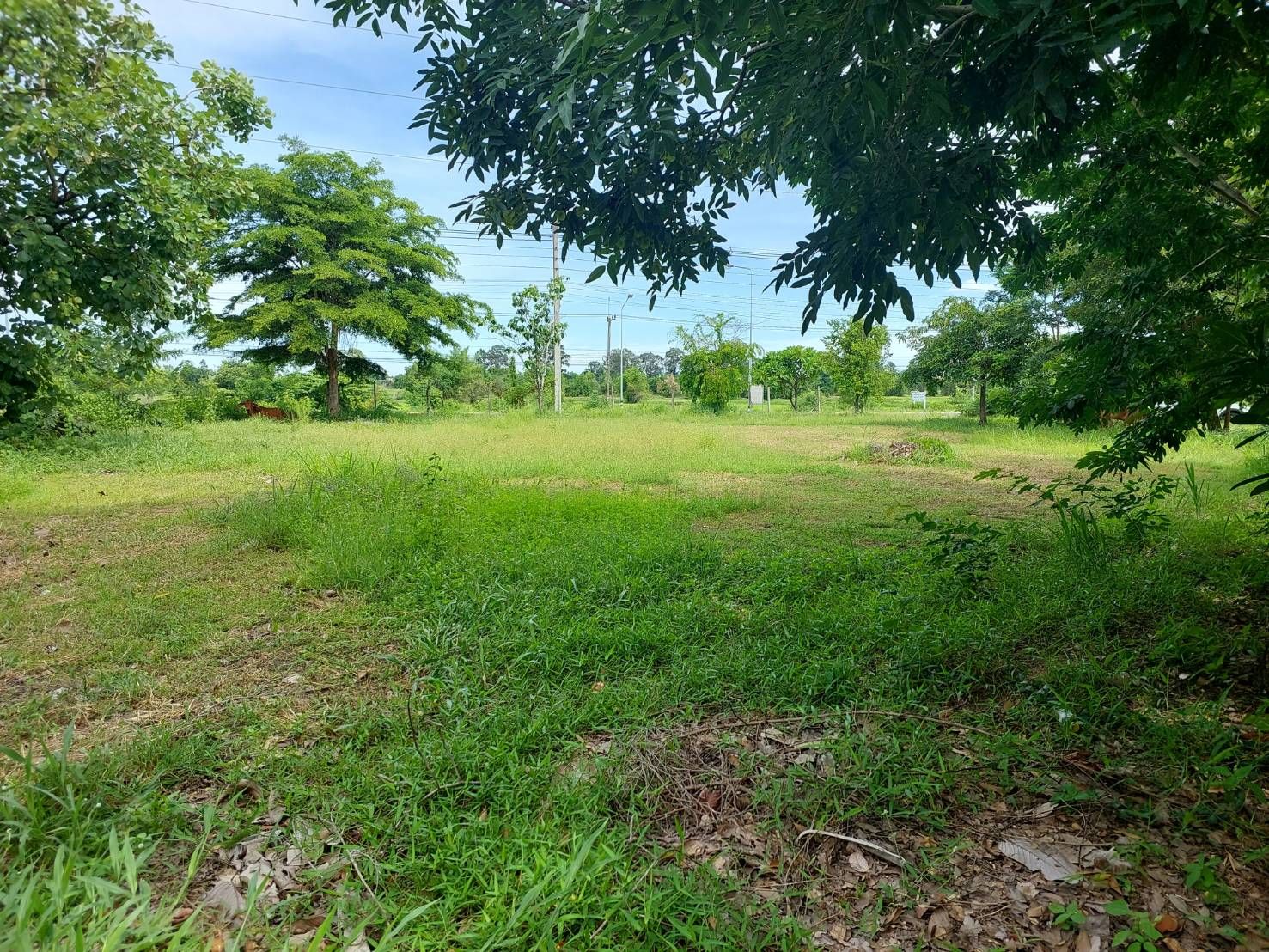 ที่ดินติดถนนร้อยเอ็ด-วาปีปทุม