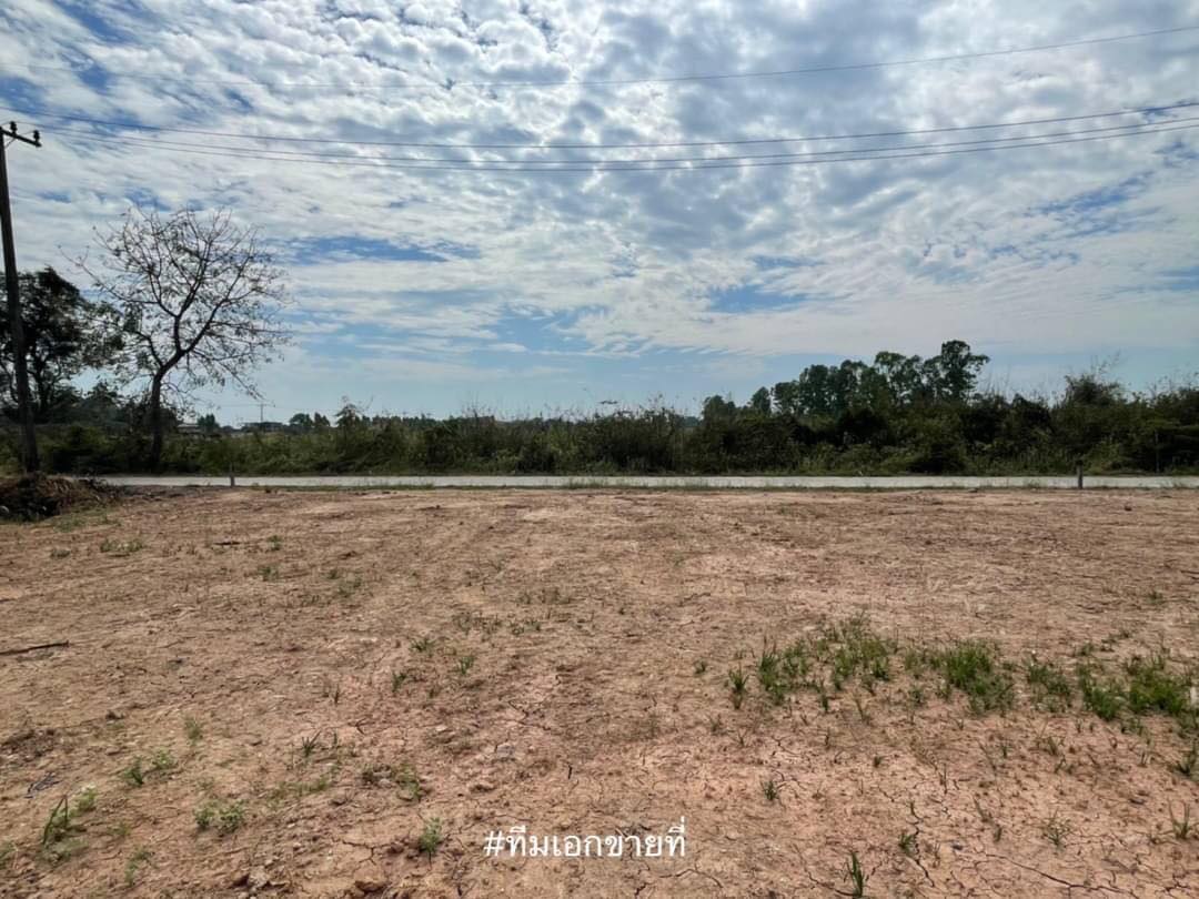 ที่ดินติดถนนคอนกรีต นครนายก 106 ตร.ว