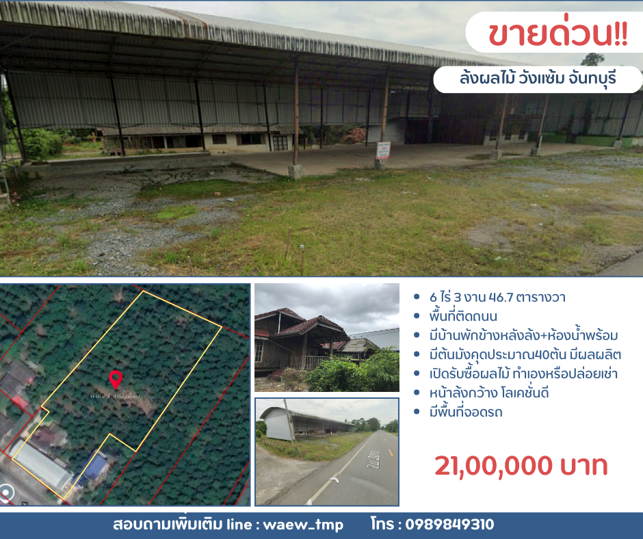 ล้งรับซื้อผลไม้จันทบุรี