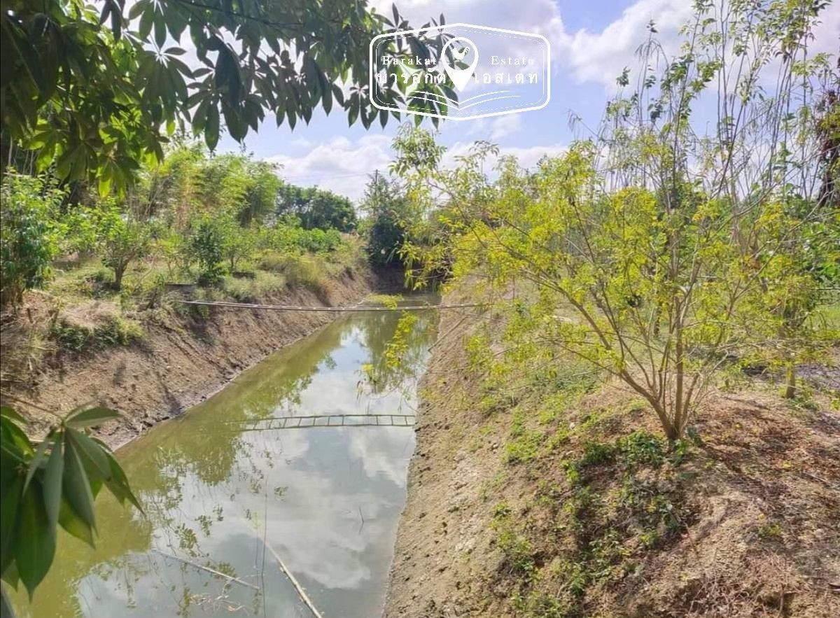ขายสวนอินทผลัม​  พร้อมผลไม้อีกหลายชนิด  เนื้อที่กว่า 10 ไร่ จังหวัดสระแก้ว