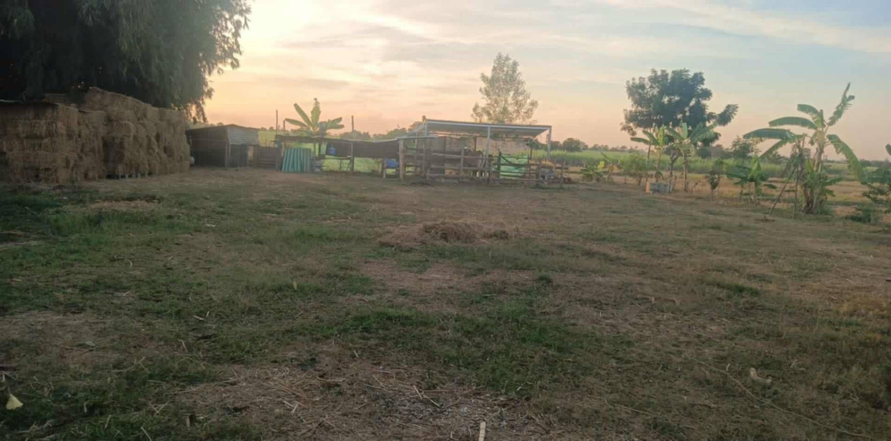 ขายบ้านขอนแก่น น้ำพอง บ้านพร้อมที่ดินทำเลสวย บรรยากาศดี สาธารณูปโภคครบครัน 1-0-45 ไร่.