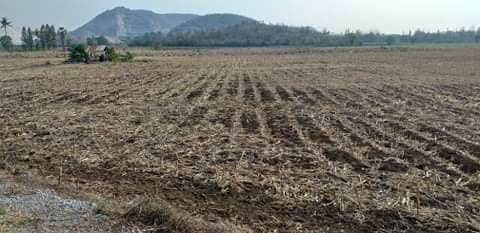 ที่ดินแปลงเกษตร สุพรรณบุรี 39-0-6.1