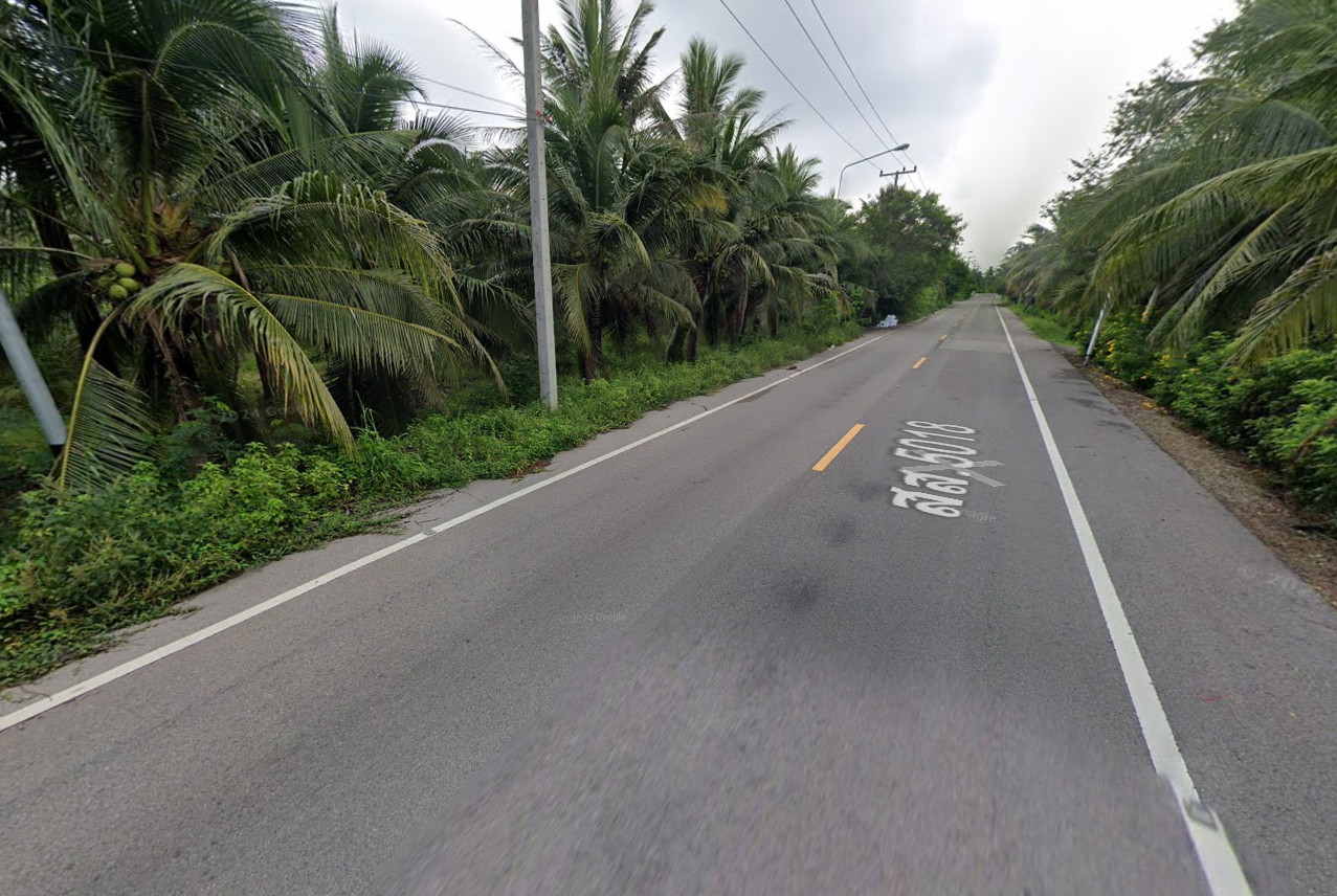 ขายที่ดินสมุทรสงคราม อำเภอเมือง ที่สวนมะพร้าวน้ำหอม มะพร้าว 5 ปี แล้ว ใกล้ชุมชน 8-0-72 ไร่.