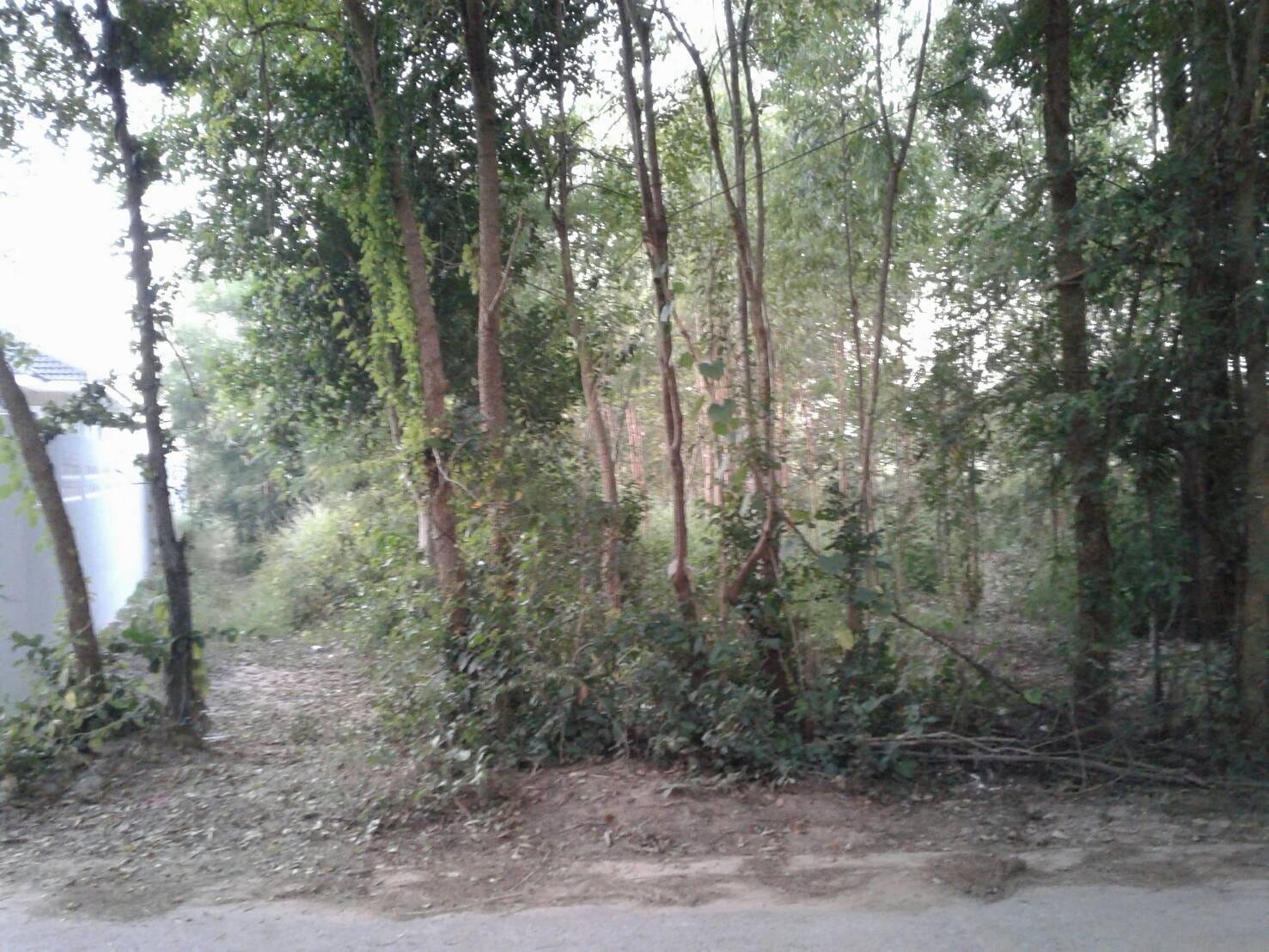 ขายที่ดิน มหาสารคาม 1 ไร่