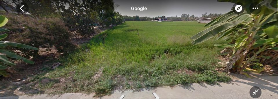 ขายที่ดินพิษณุโลก เมืองพิษณุโลก 2งาน