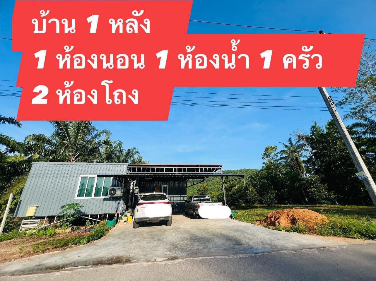 ขายบ้านพร้อมที่ดินปลูกทุเรียนหมอนทอง อายุ 2 ปี 6 เดือน ทุเรียน 180 ต้น