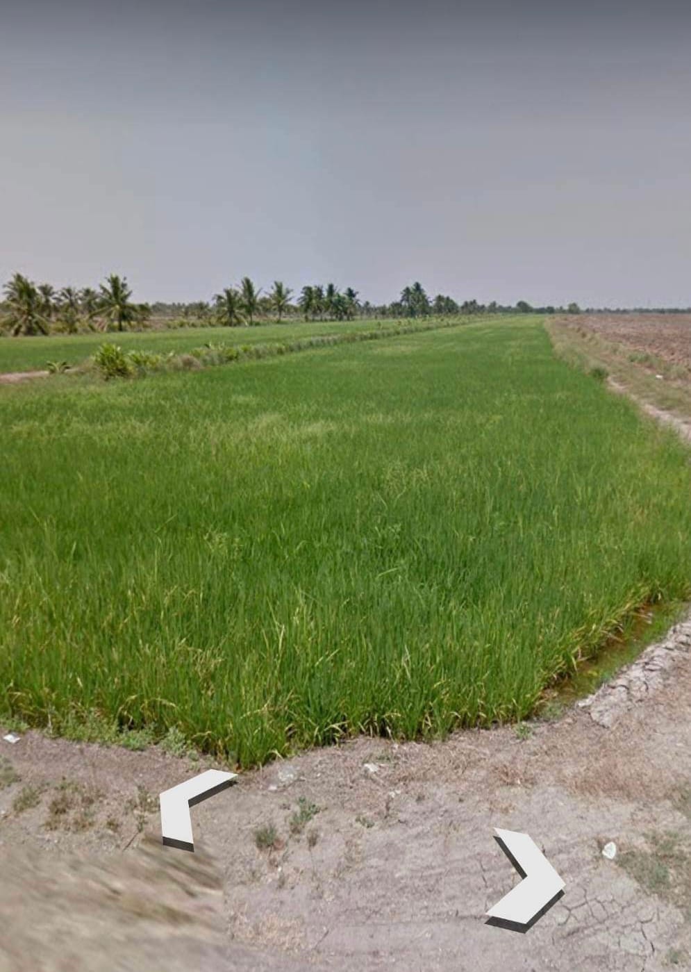 ขายที่ดิน สวย