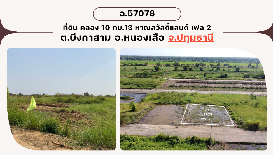 ขายที่ดินปทุมธานี หนองเสือ ที่ดินเปล่า แบ่งขาย คลอง 10 หาญสวัสดิ์เฟส 2