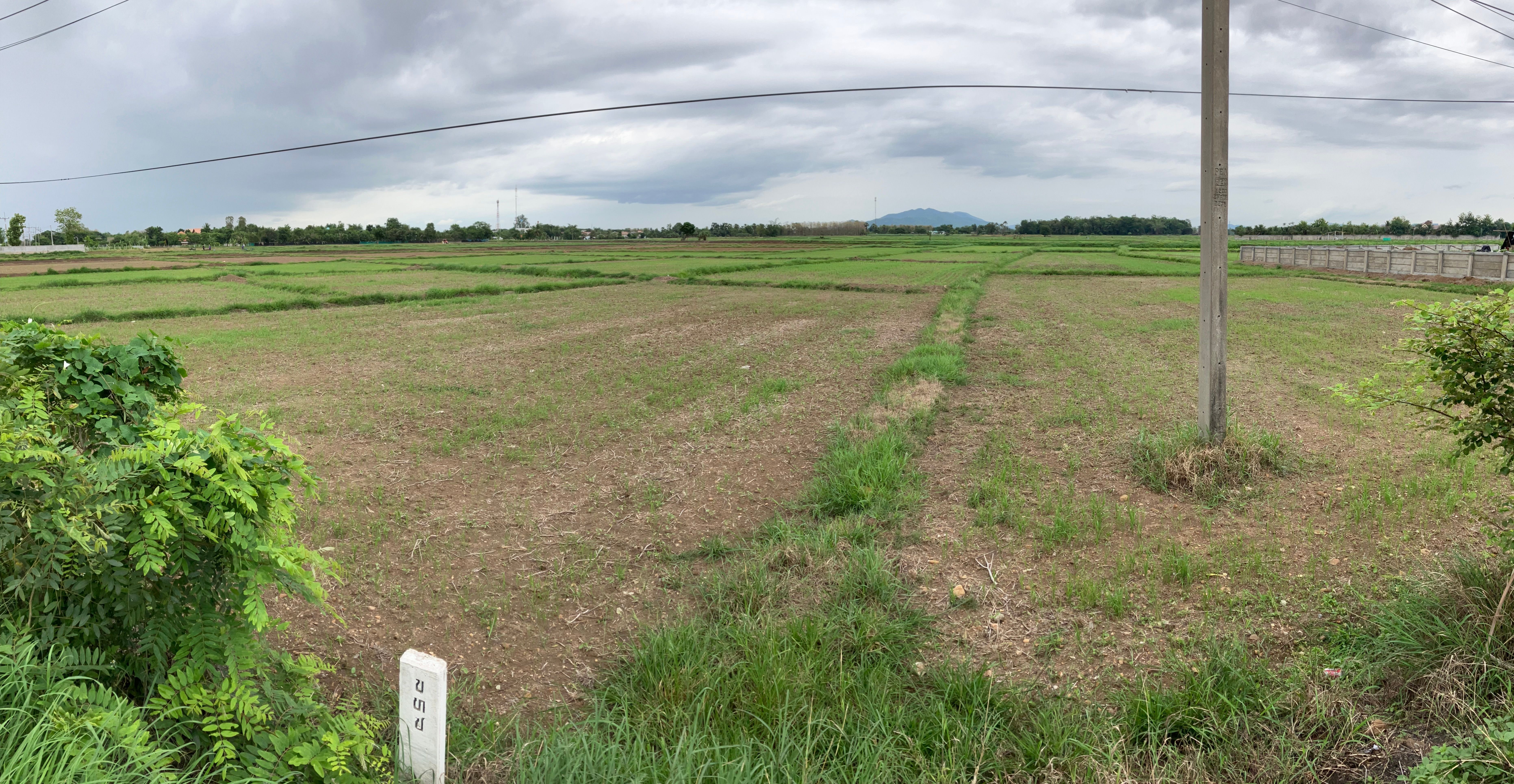 ที่ดิน ทรงแปลก ราคาแรงนิดๆ ในบ้านน้ำโท้ง ต นาครัว อ แม่ทะ ลำปาง 