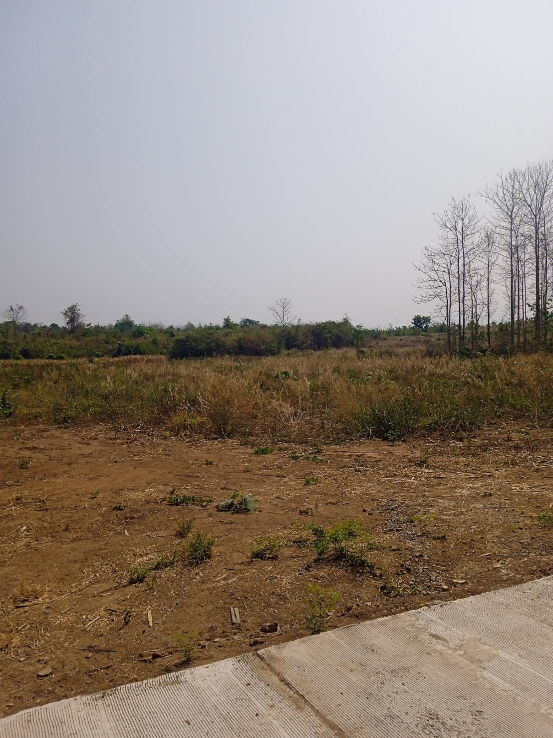 ขายที่ดิน 216ไร่ ตำบลแม่ยางฮ่อ อำเภอร้องกวาง จังหวัดแพร่ ติดถนนซุปเปอร์ไฮเวย์ เส้นร้องกวาง-สอง - งาว