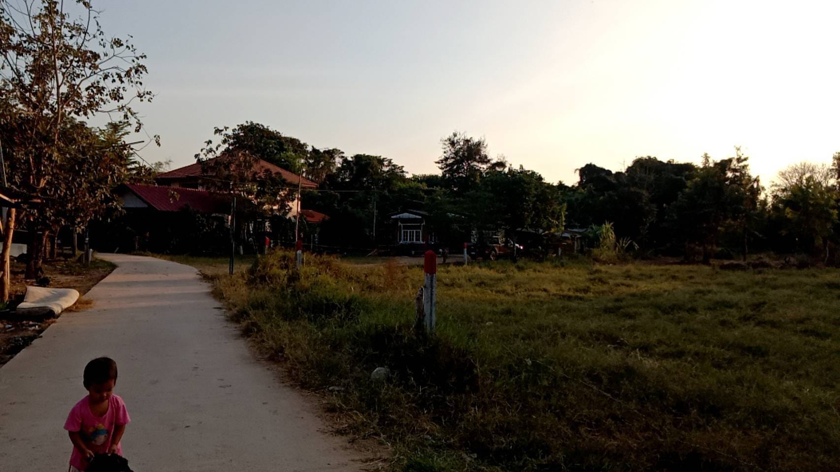 ที่ดินเปล่าขาย 2 โฉนด เมืองกาฬสินธุ์ 1-1-83