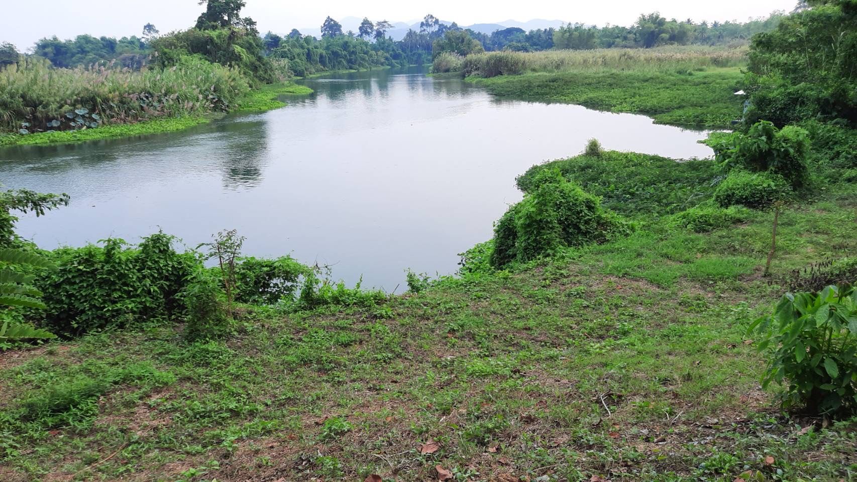 ขายที่ดินสวนผลไม้ติดแม่น้ำเพชรบุรี