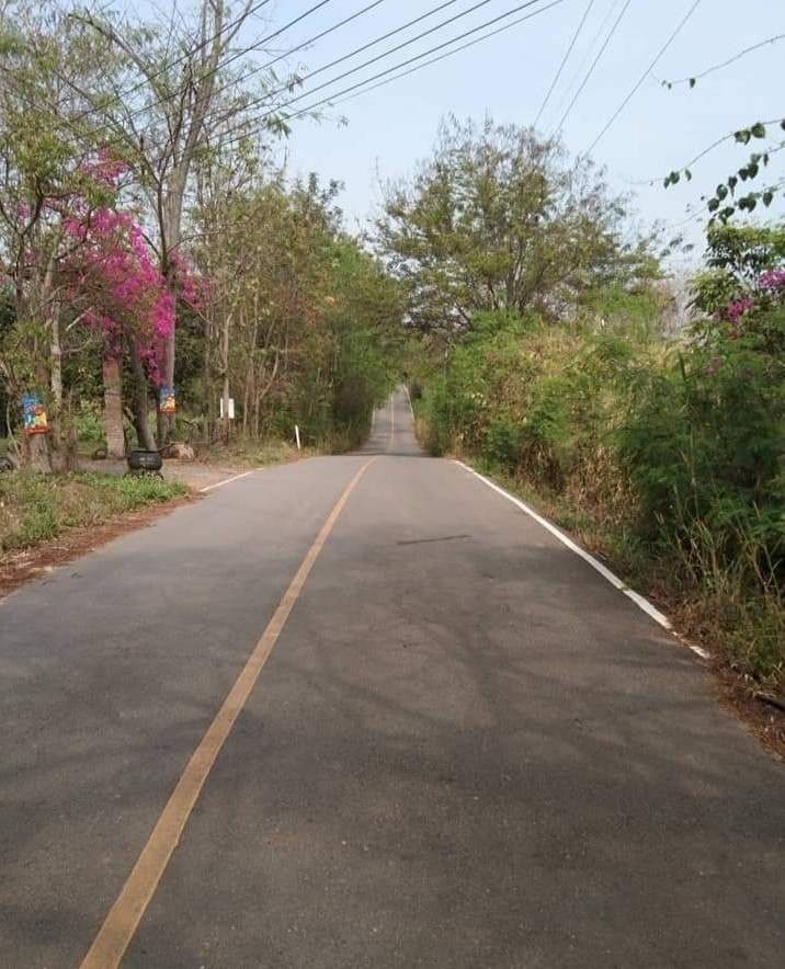 ขายที่ดิน เชียงใหม่ 15-2-95 ไร่