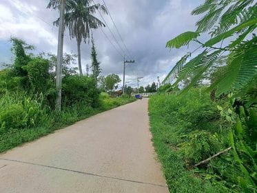 ที่ดินเปล่าทำเลดี บางละมุง ชลบุรี 