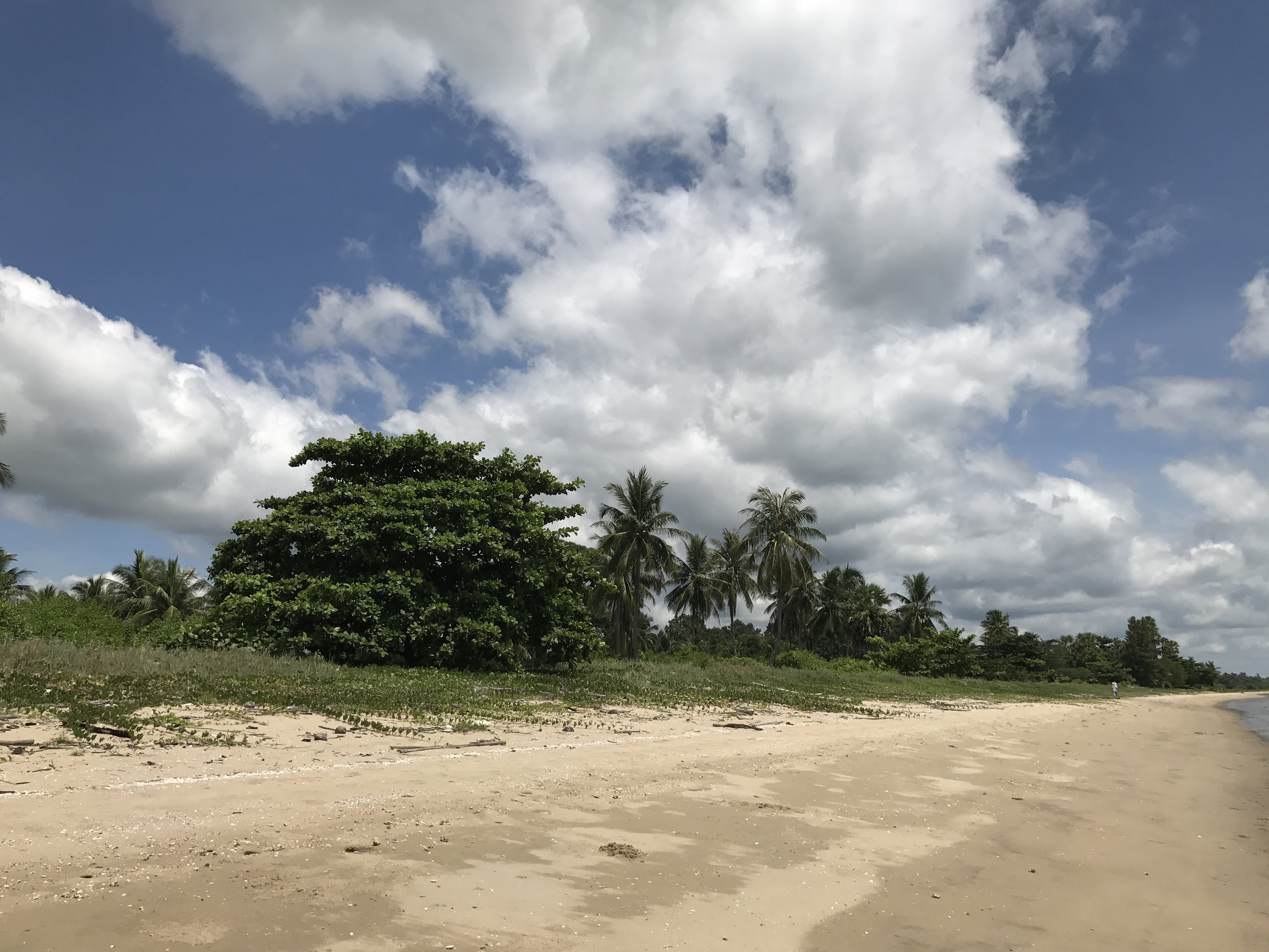 ที่ดินติดชายหาด วิวสวย สุราษฎ์ธานี 11-3-24