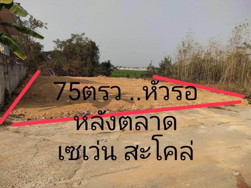 ที่ดินถมแล้วเหมาะสำหรับปลูกบ้าน พิษณุโลก 75 ตรว.