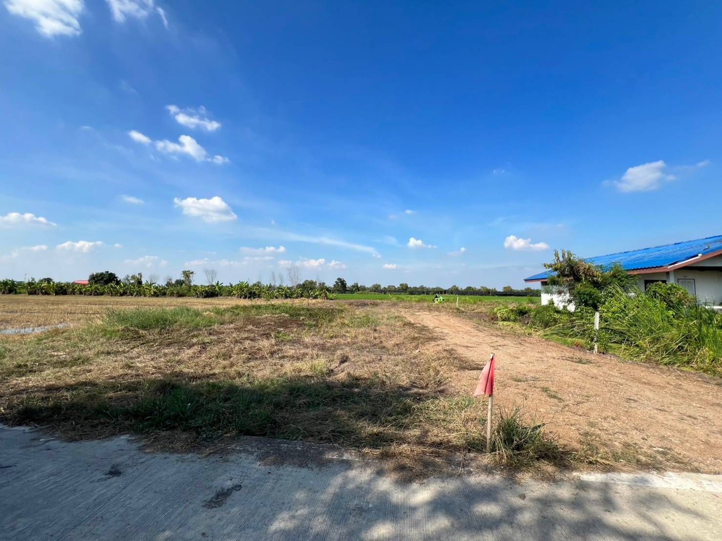 ขายที่ดินปทุมธานี บรรยากาศดี แปลงสวย ใกลสนามโมโตครอส NJ77 Ride Park คลองหลวง ปทุมฯ 2-1-37