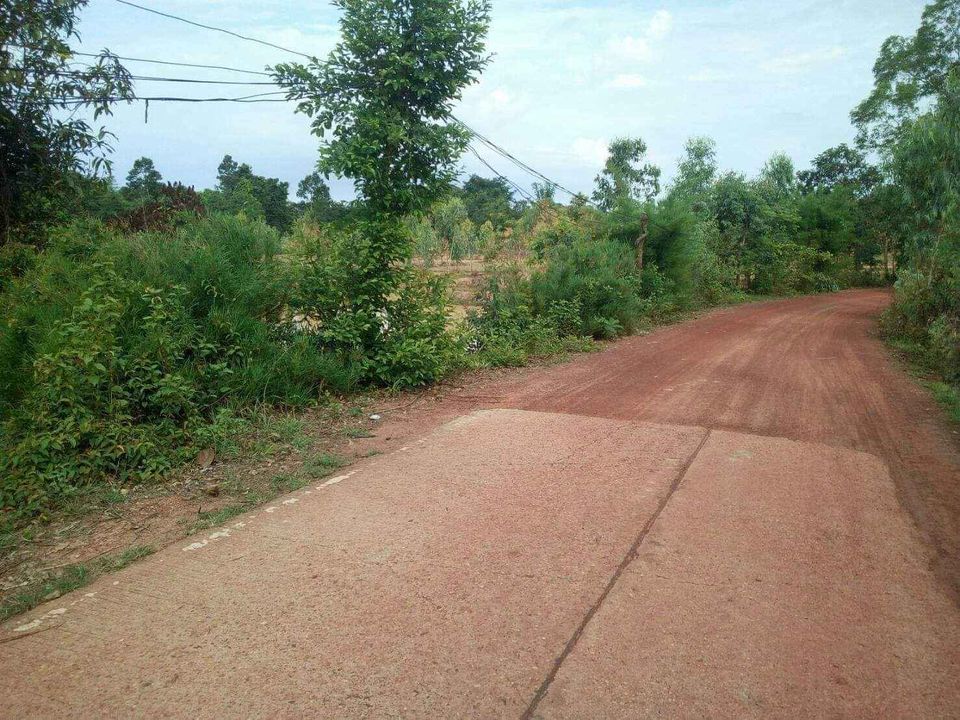 ที่นา 24ไร่   ติดห้วยตาเทียว บ้านตุ ต.กาบิน อ.กุดข้าวปุ้น อุบล
