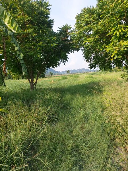 ที่ดิน วิวหลังเขา นครสวรรค์ 6 ไร่