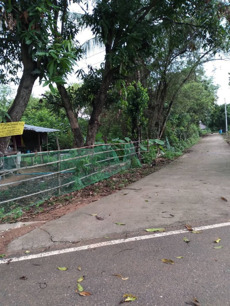 ขายที่ดินอุดรธานี 0-1-0