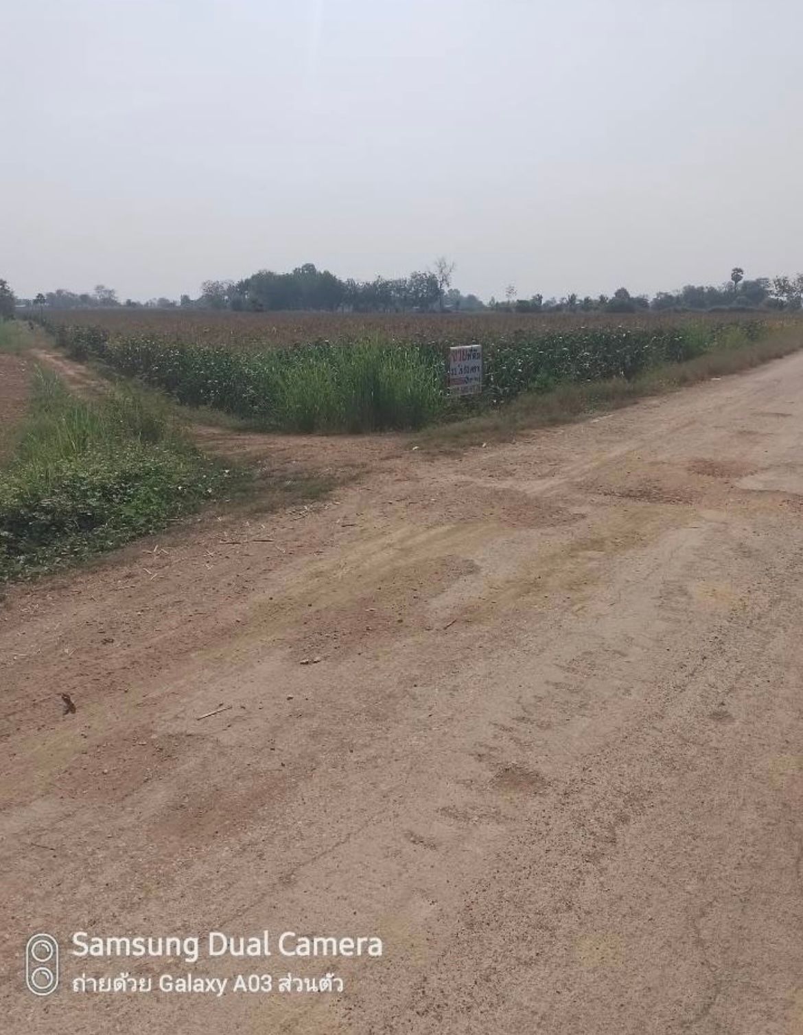 ขายที่ดิน 11-0-51 ไร่ นำ้ไม่ท่วม