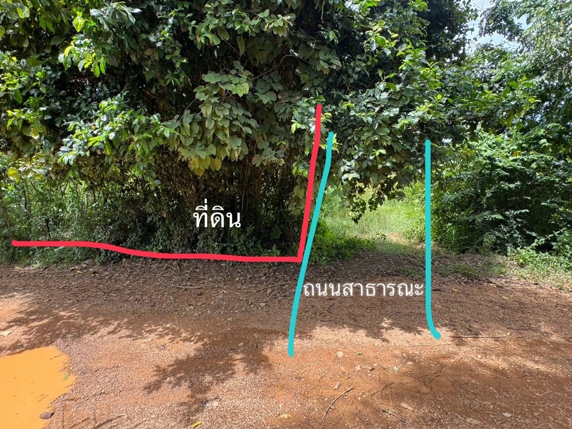 ที่ดินเปล่า