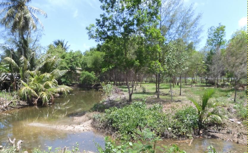 ขายที่ดินสวย ใกล้ทะเลนาใต้ จ.พังงา ติดกับโรงแรม  The Hotspring Resort เหมาะสร้างรีสอร์ทมากๆ  