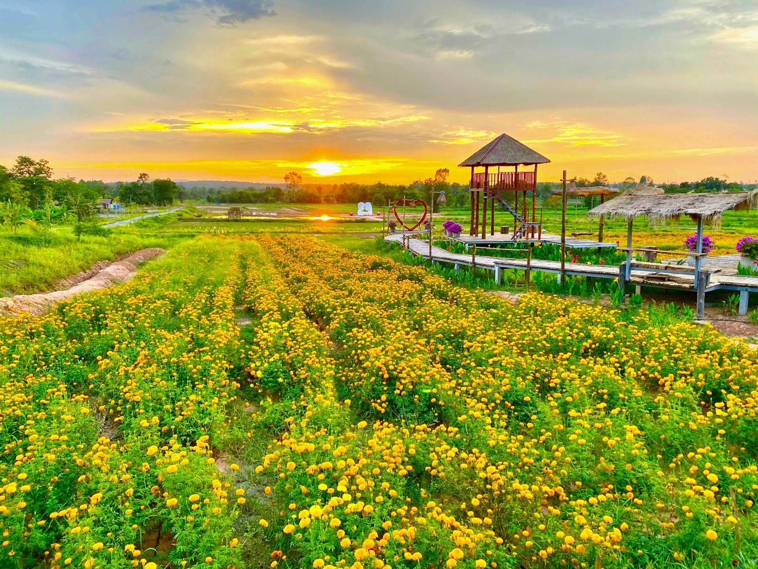 ขายไร่ภูน้ำพอง สถานที่ท่องเที่ยวเชิงเกษตร ติดถนนทางหลวงหมายเลย 2 สายมิตรภาพ จากขอนแก่นมุ่งหน้าจ.อุดรธานี ก่อนถึงแยกเข้าเขื่อนอุบลรัตน์ อ.น้ำพอง จ.ขอนแก่น 