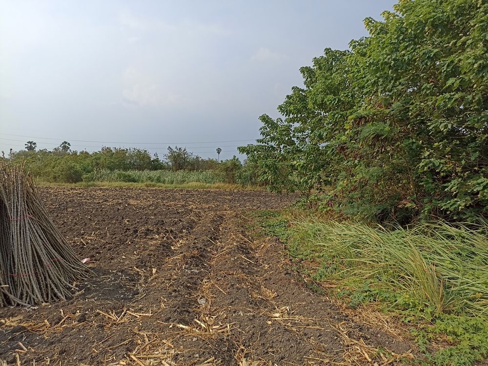 ขายที่ดิน ช่องสาริกา อ.พัฒนานิคม 24-0-41.8 ไร่, ลพบุรี