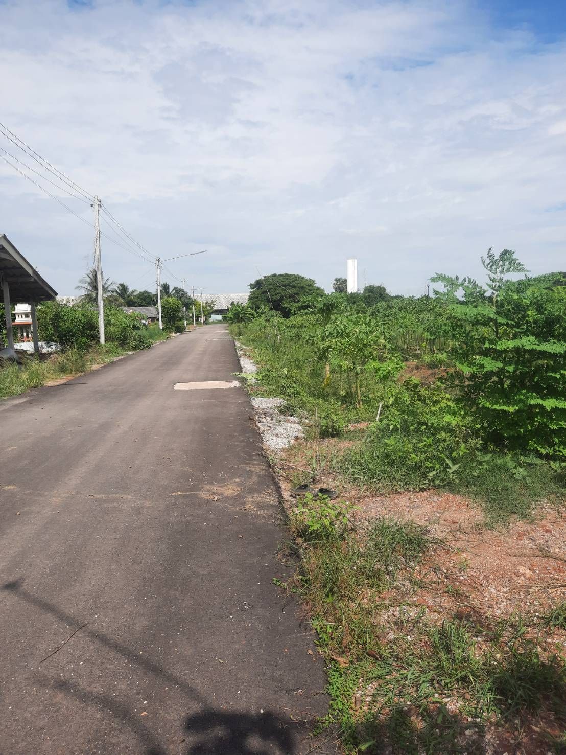 ขายที่ดินโพธาราม จังหวัดราชบุรี 1-3-83 ไร่