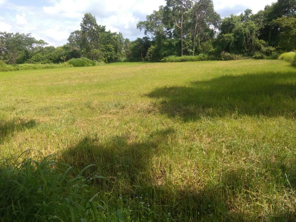 ที่ดินราคาถูก อุบลราชธานี 14-3-40