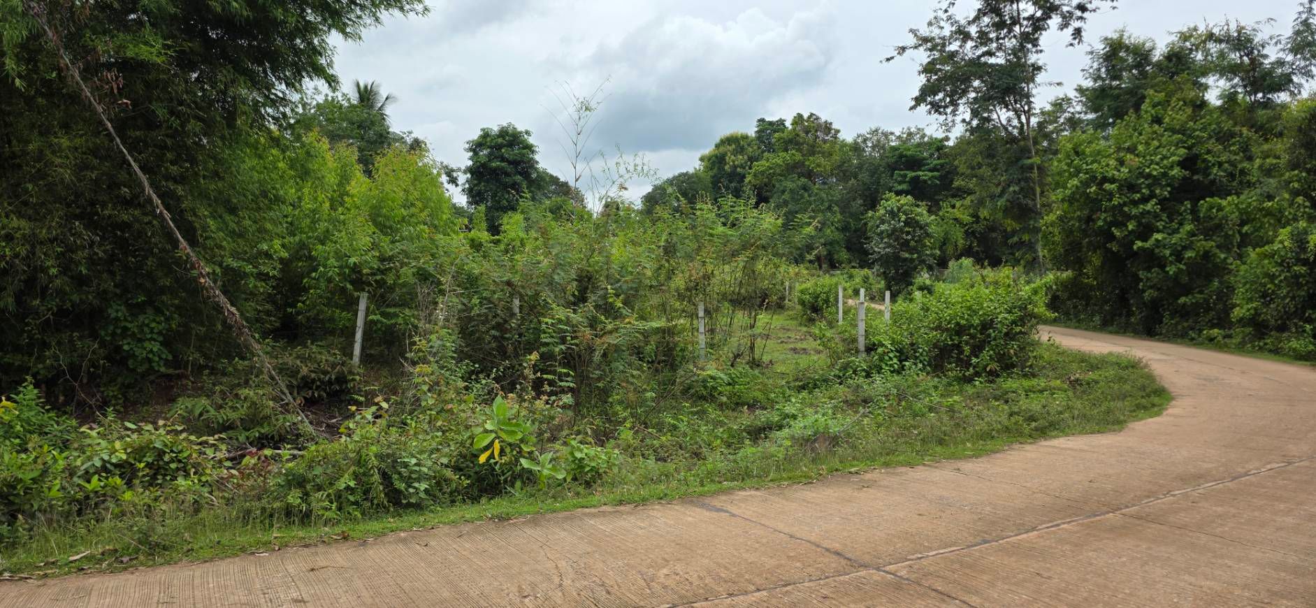 ขายที่ดินอุบลฯ เดชอุดม