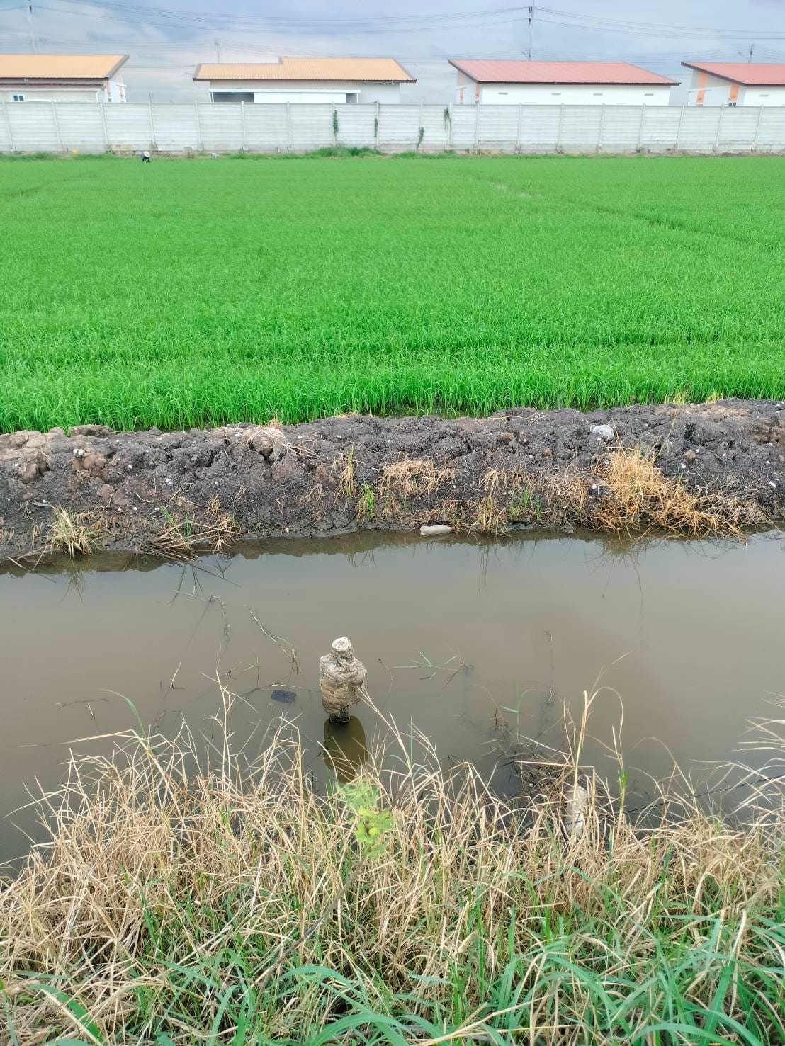 ขายที่ดิน​ ต.คลองหก​ อ.คลองหลวง​ จ.ปทุมธานี