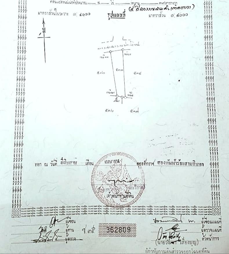 ที่ดินพร้อมต้นสัก น่าน 4-2-39